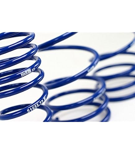 Amazon.com: H&R 29187 Sport Spring : Automotive